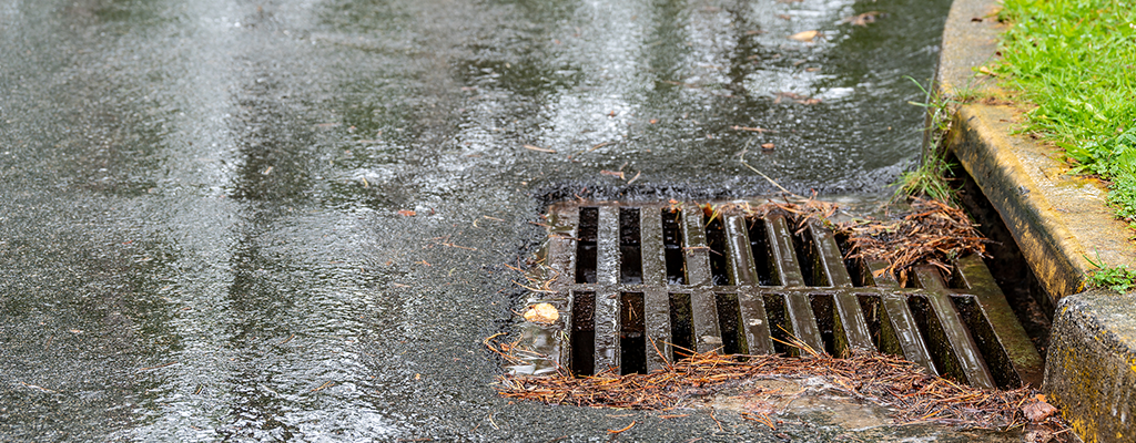 stormdrain with leaves