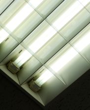 Recycling Fluorescent Lightbulbs