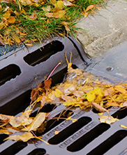 Stormwater Drain with Leaves