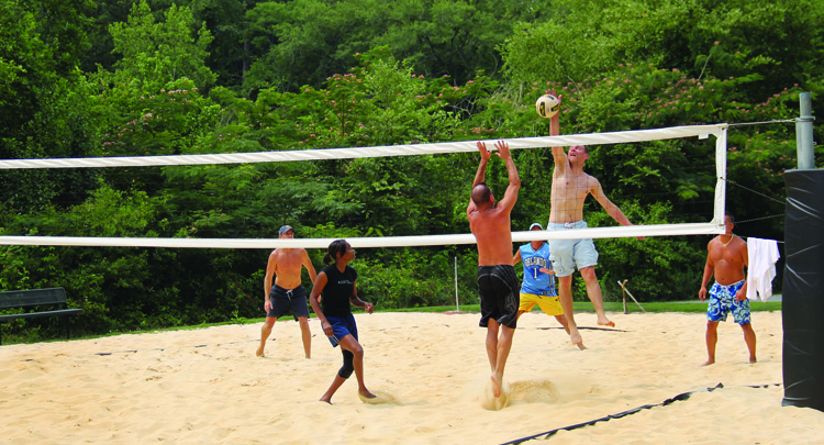 Don White Park Volleyball