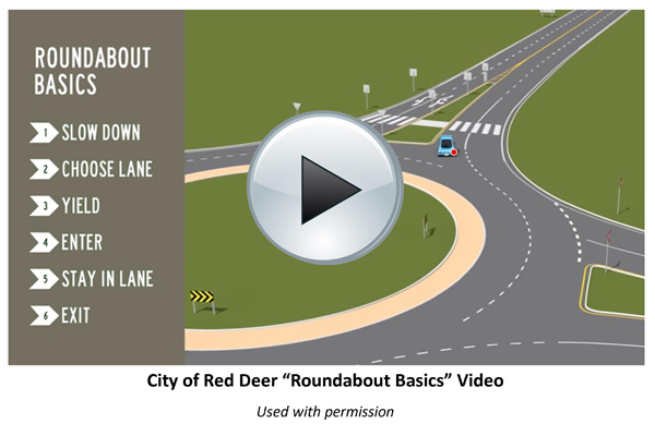 Red Deer Video