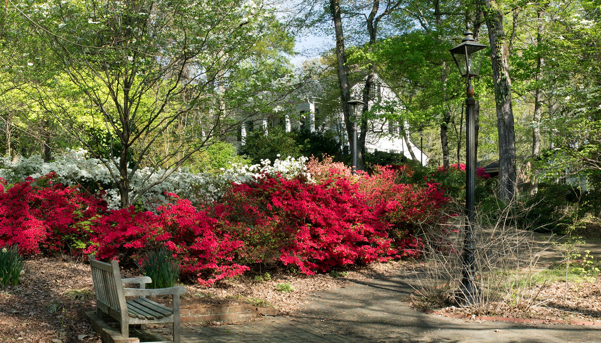 SmithPlantation